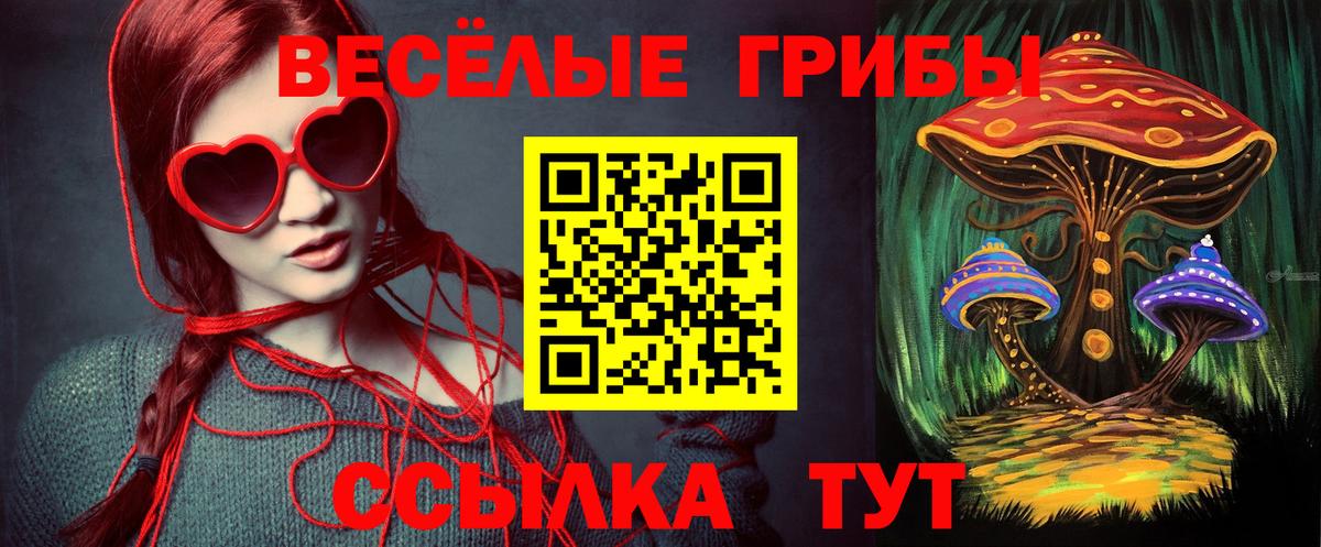 Псилоцибиновые грибы ЛСД  Вход с VPN  как найти закладки  Пушкино 